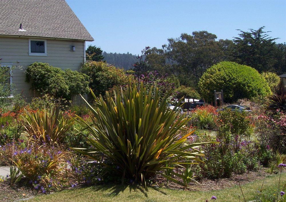 Didjeridoo Dreamtime Inn Mendocino Exterior foto